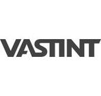 Vastint