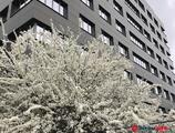 Birouri de închiriat în Complexul Work&Home