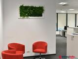 Birouri de închiriat în Moldova Business Center, Iași
