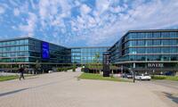 Miro Offices