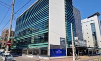 Banu Antonache Offices