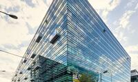 Supertree Workspaces