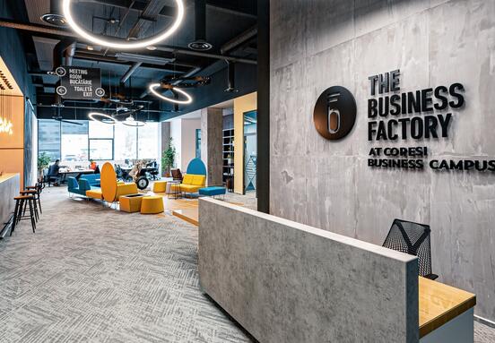 The Business Factory