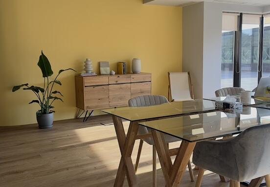 V7 Startup Studio Palas