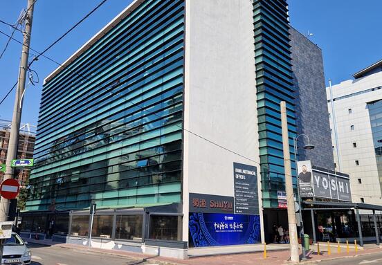 Banu Antonache Offices
